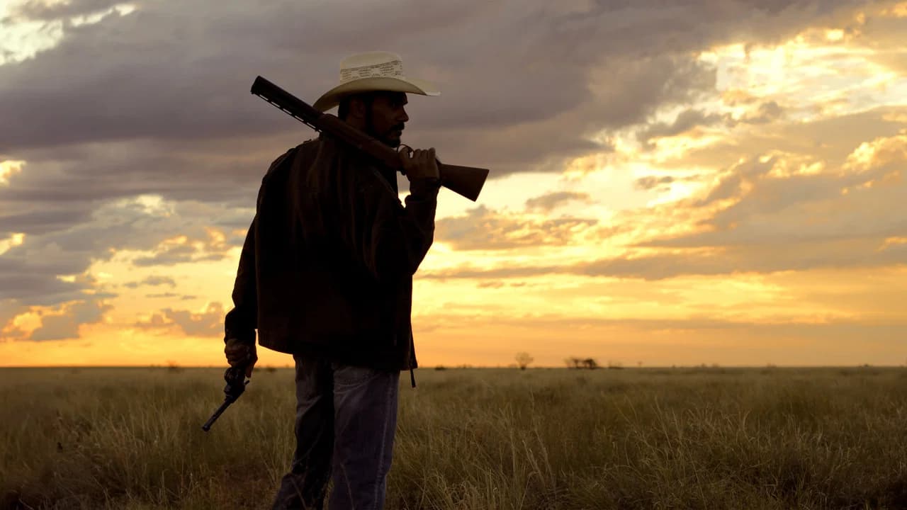 Mystery Road Collection