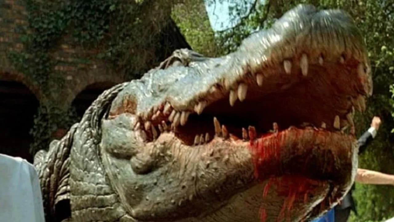 Crocodile Collection