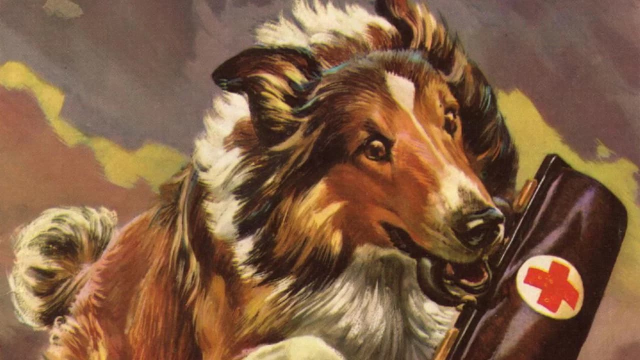 Lassie Collection
