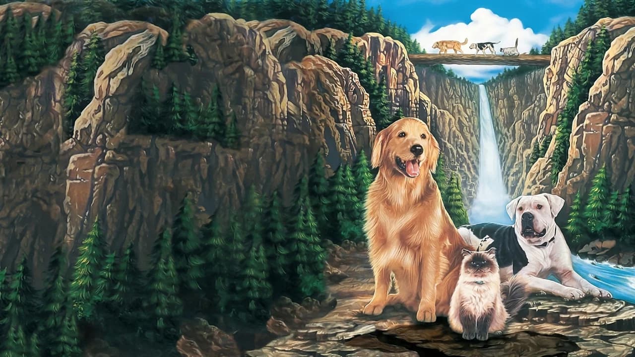 Homeward Bound Collection