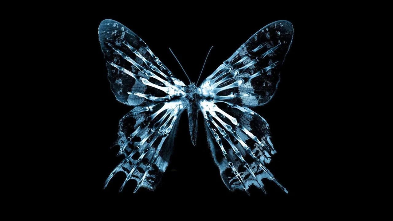 The Butterfly Effect Collection