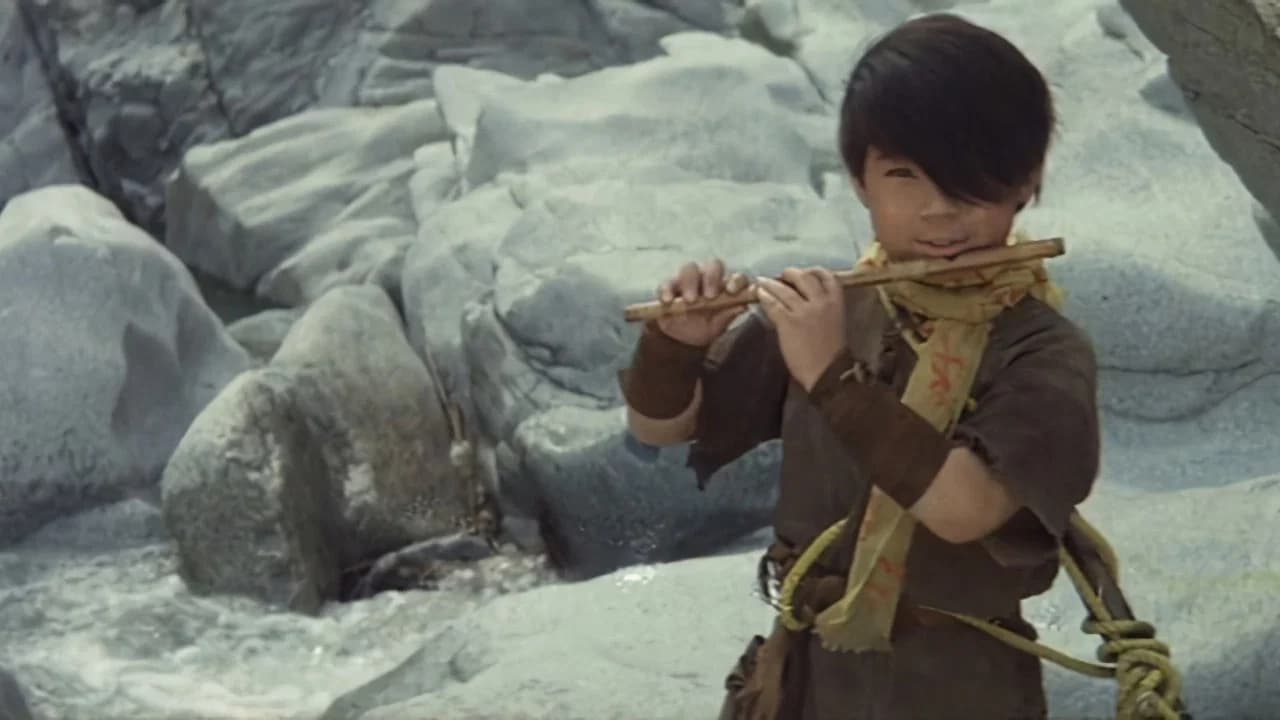 Watari Collection