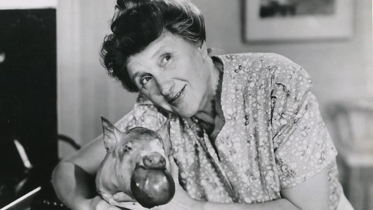Ma and Pa Kettle Collection