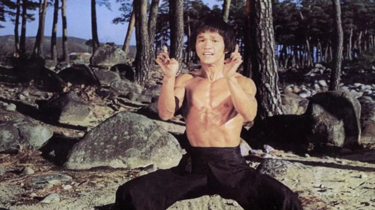 Bruce and Shaolin Kung Fu Collection