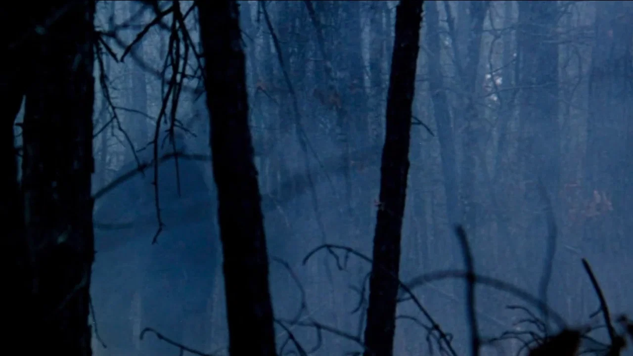Boggy Creek Collection