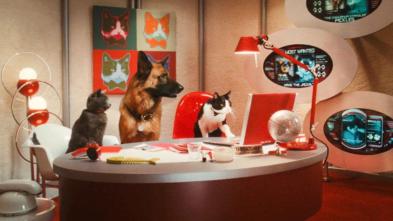 Cats & Dogs Collection