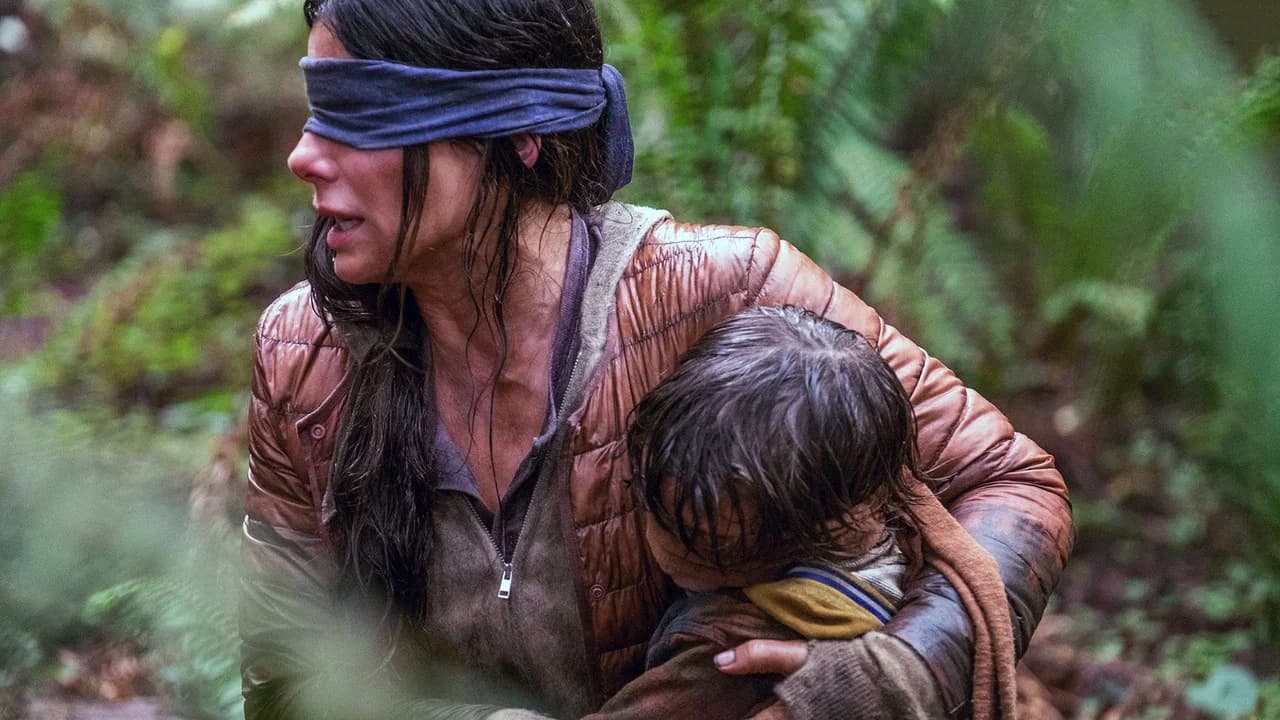 Bird Box Collection