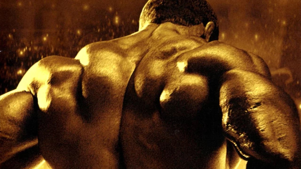 Generation Iron Collection