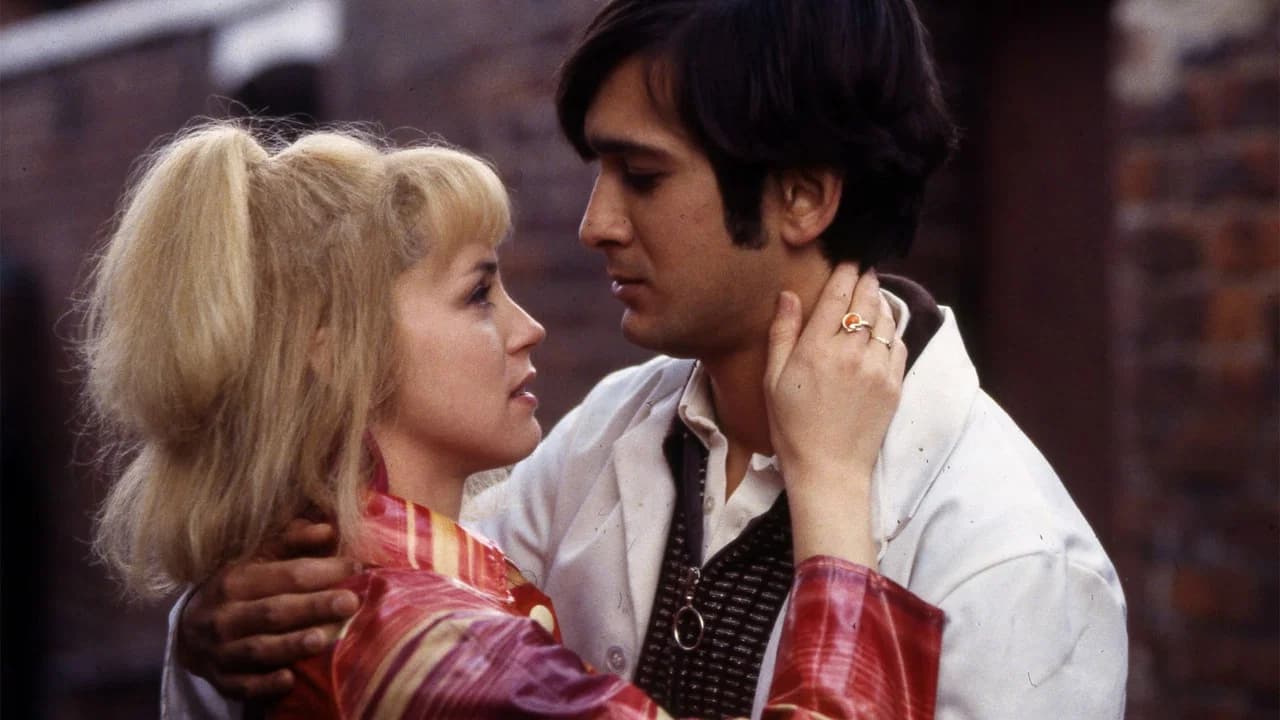 East Is East Collection