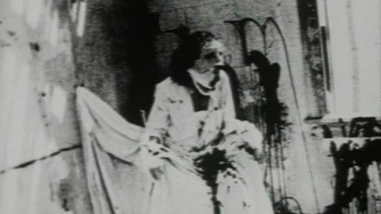 The Begotten Cycle
