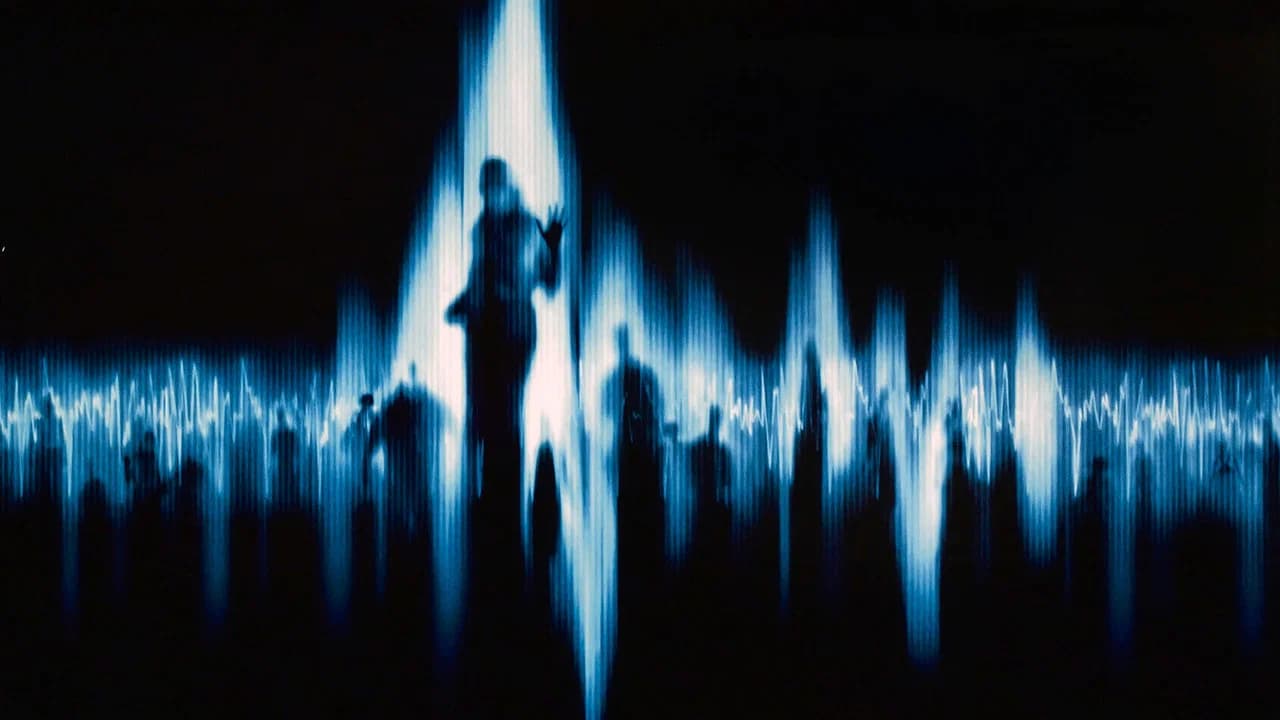 White Noise Collection