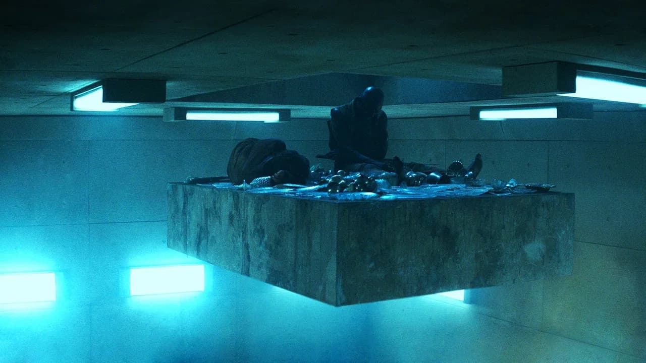 The Platform Collection