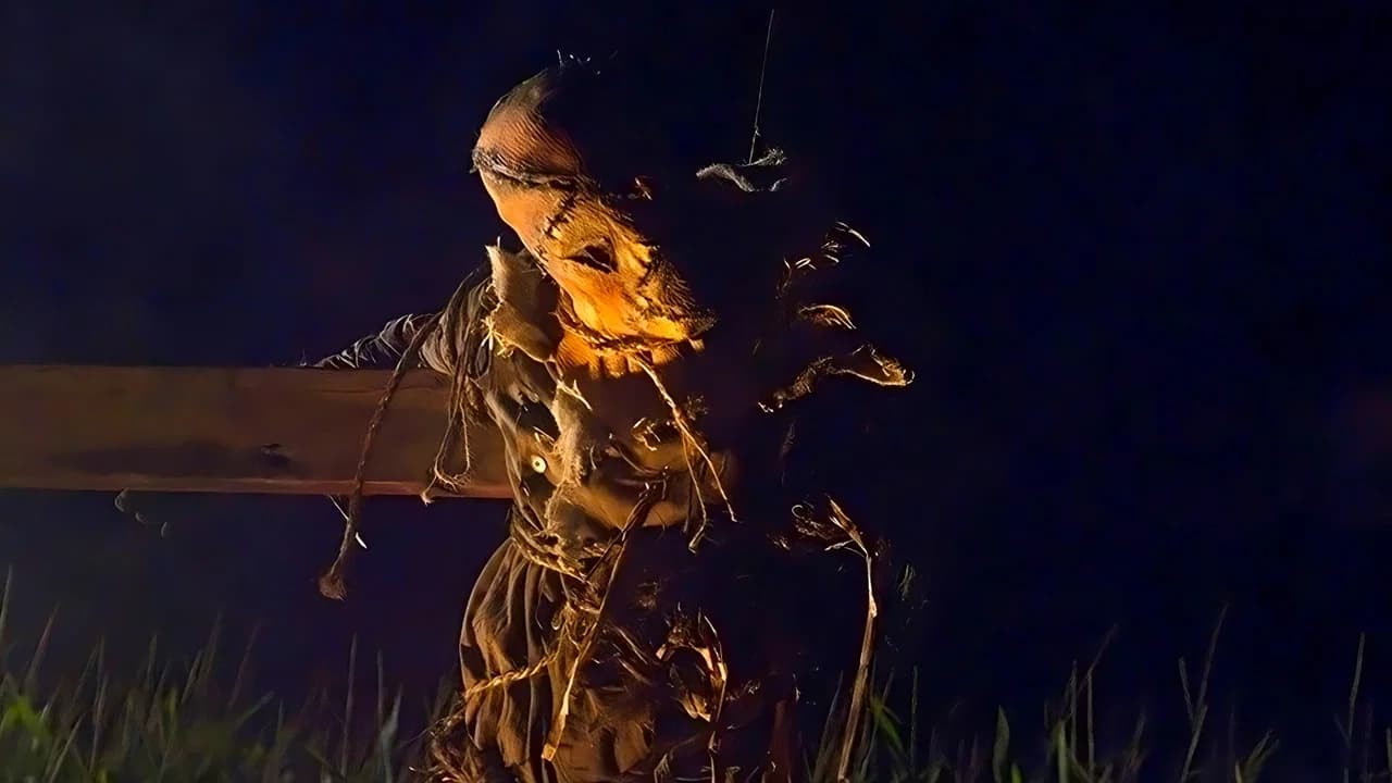 Scarecrow Collection