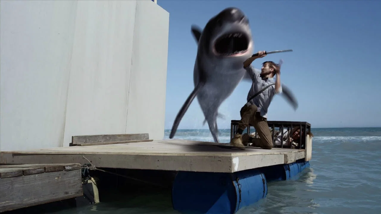 The Sharks Collection