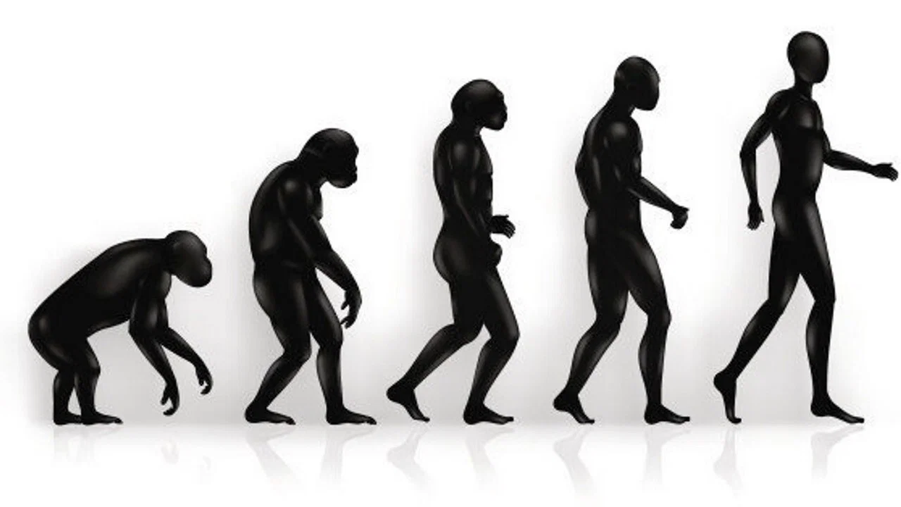 Aux origines de l'humanité