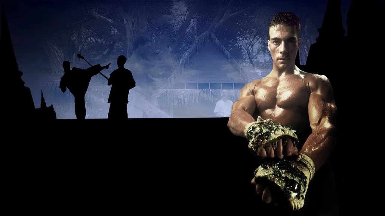 Kickboxer Collection