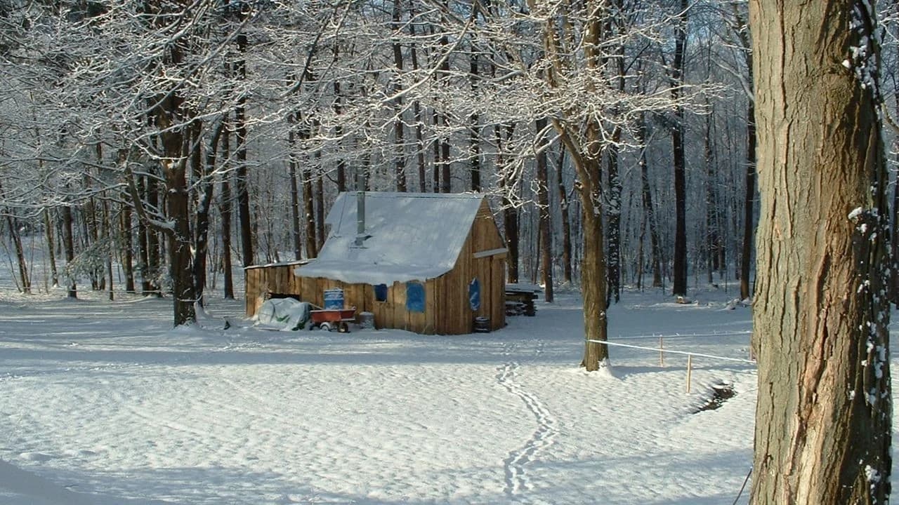 Snow Collection