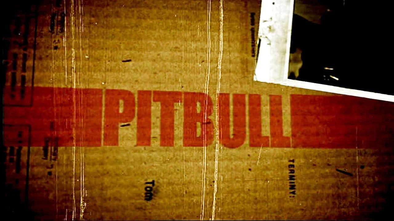 Pitbull Collection