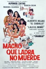 Macho Que Ladra No Muerde