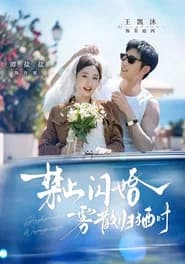 禁止闪婚，雾散归栖时