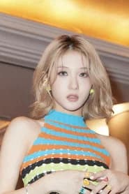 Y:SY