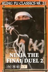 Ninja: The Final Duel II
