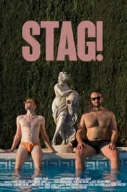 Stag!