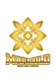 Dream Star★Fighting Marigold