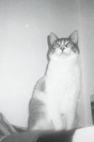 Jones