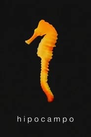 Hippocampus