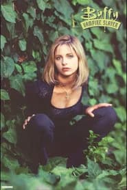 Buffy the Vampire Slayer