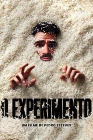 O Experimento