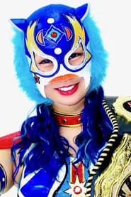 Shoko Koshino