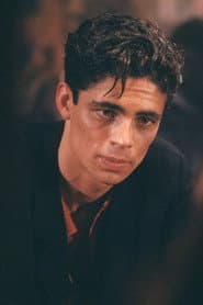 Benicio del Toro