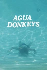 Agua Donkeys