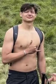 Wironggo Vercaemer