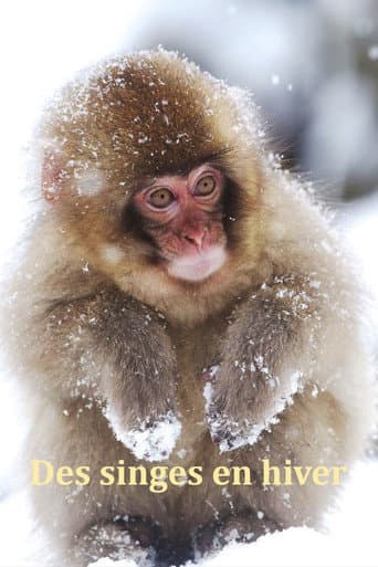 Japans Schneeaffen Hautnah