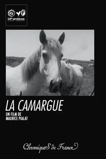 La Camargue