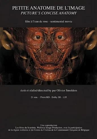 Petite anatomie de l'image