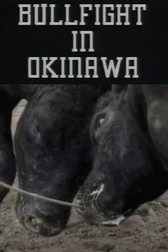 Bullfight in Okinawa