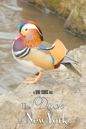 The Duck of New York