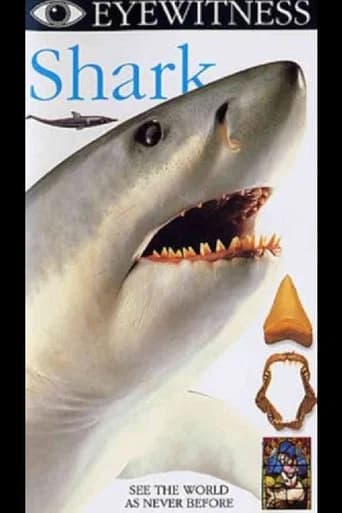 Eyewitness: Shark