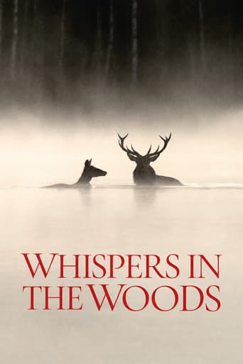 Whispers in the Woods
