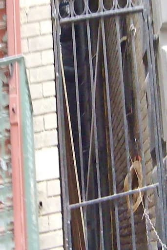 Mosco Street 2