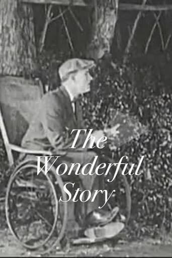 The Wonderful Story