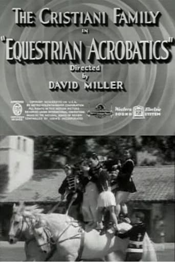 Equestrian Acrobats