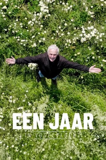 Een jaar in vogelvlucht