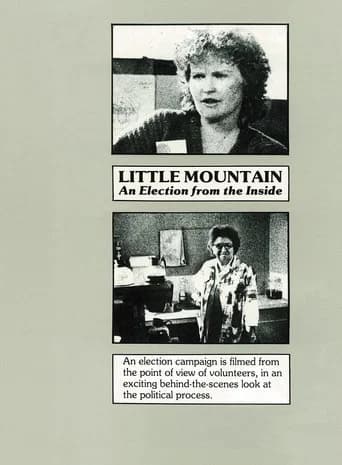 Little Mountain: An Election from the Inside