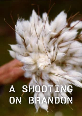 A Shooting on Brandon