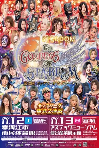 Stardom 12th Goddesses of Stardom Tag League in Sagae